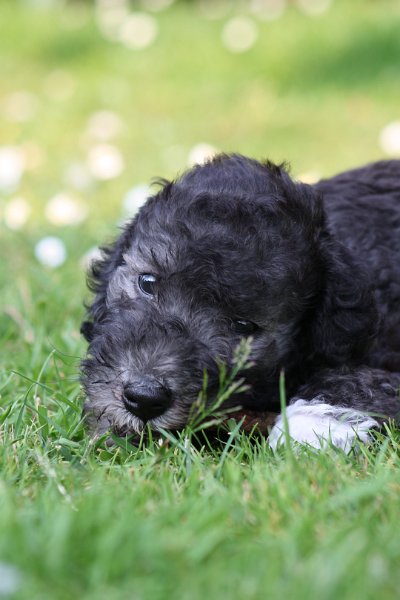 Arc-en-ciel Antares 2009-06-30 (34).JPG